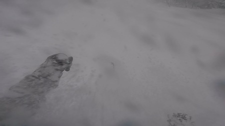 F261793B-C723-463B-A81A-2A087DA9D777.jpeg