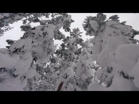 FEB839E7-84C2-4DF2-A480-7044A245C086.png