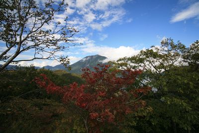 IMG_1146.JPG